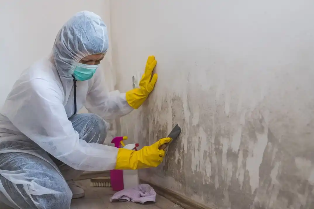 water damage restoration service Helena Valley West Central